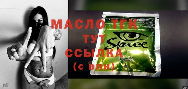 спиды Лагань