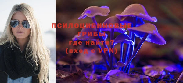 спиды Лагань