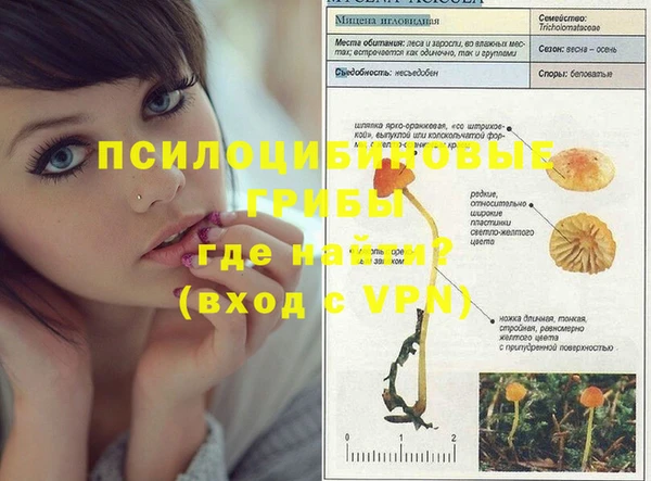 спиды Лагань
