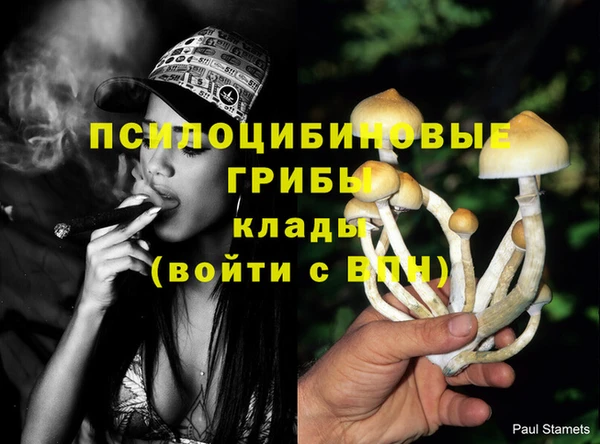 альфа пвп Ладушкин
