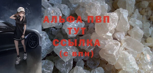 соль ск Новозыбков