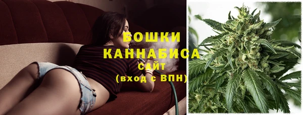 спиды Лагань
