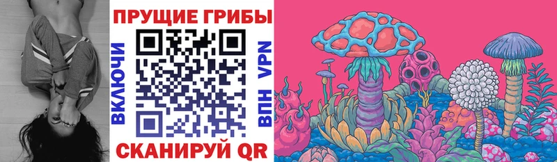 Галлюциногенные грибы прущие грибы  ссылка на мегу ТОР  Артём 